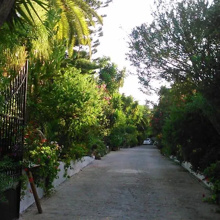 Baha-ammes Svoronata