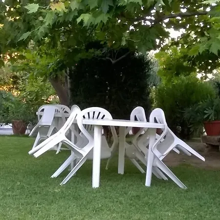 Baha-ammes * Svoronata