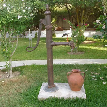 Baha-ammes * Svoronata