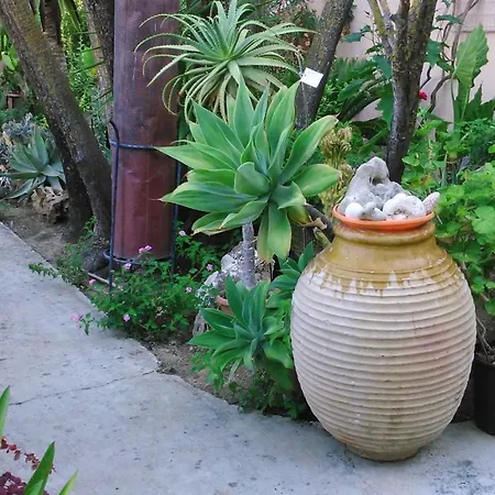 Baha-ammes * Svoronata