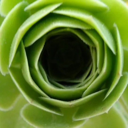 Apartament Baha-ammes