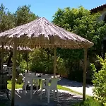 Baha-ammes * Svoronata