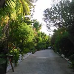 Baha-ammes Svoronata
