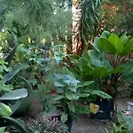 Baha-ammes Appartement
