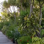 Baha-ammes Svoronata