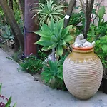 Baha-ammes * Svoronata