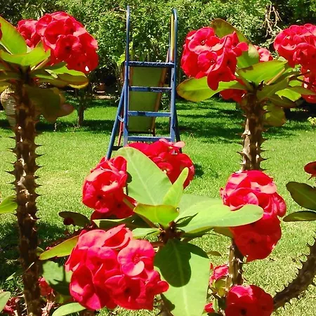 Baha-ammes Appartamento