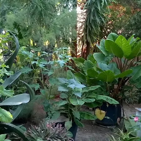 Baha-ammes Appartamento