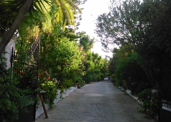 Baha-ammes Svoronata