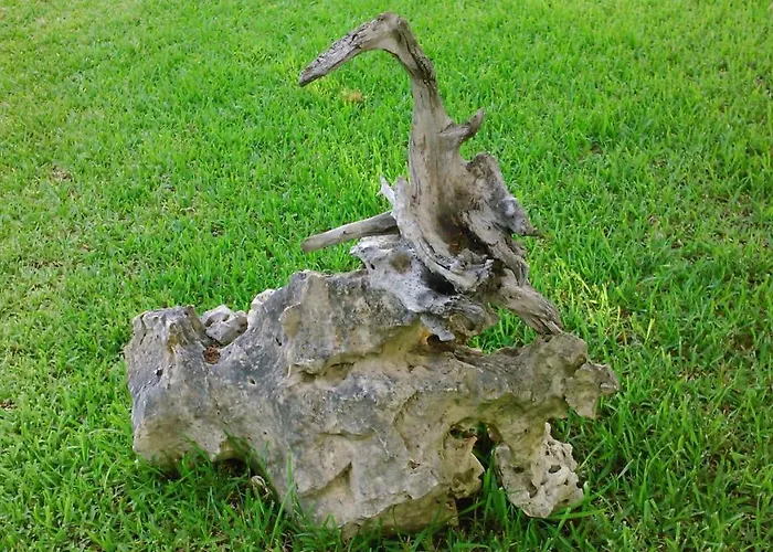 Baha-ammes Appartamento