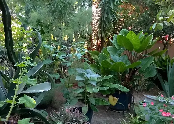 Baha-ammes Appartamento