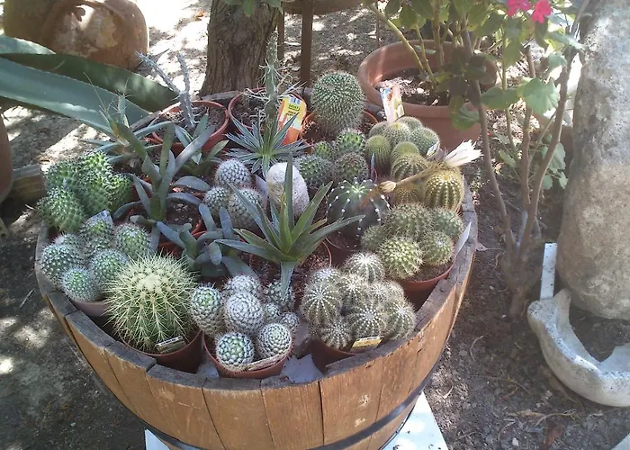 Baha-ammes Appartamento