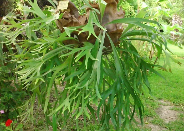 Appartamento Baha-ammes Svoronata