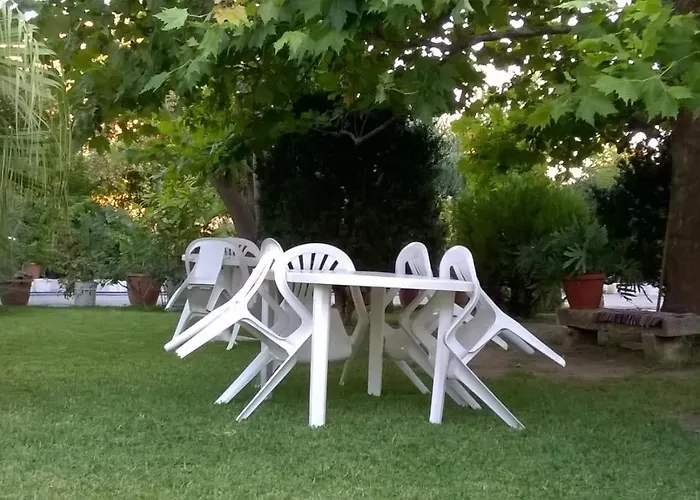 Baha-ammes * Svoronata