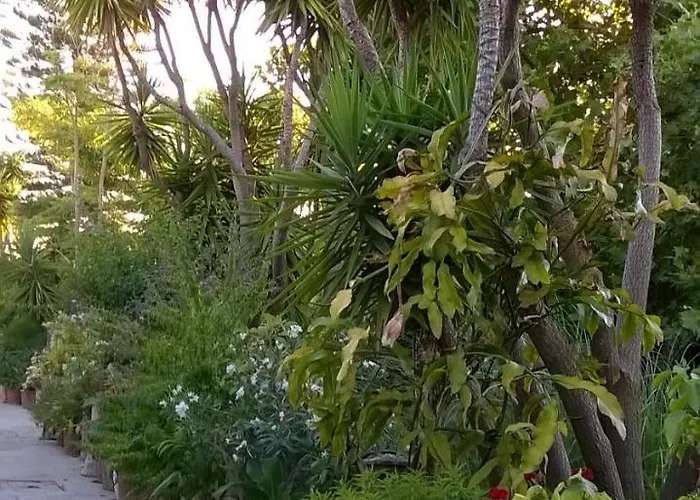 Baha-ammes Svoronata