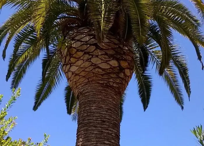 Baha-ammes Appartamento Svoronata