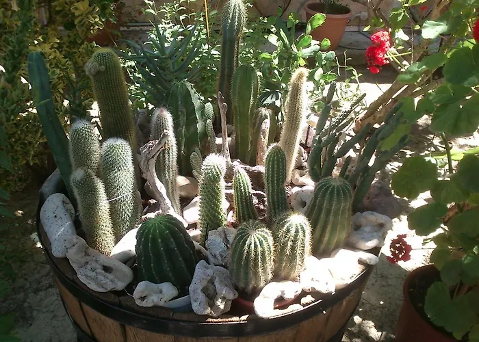 Appartamento Baha-ammes *