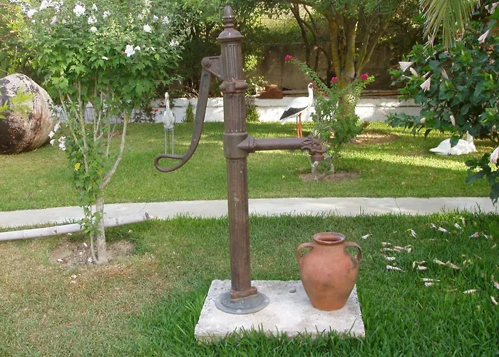 Baha-ammes * Svoronata