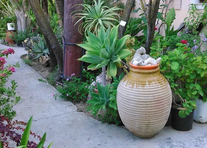 Baha-ammes * Svoronata