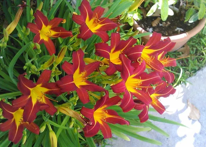 Appartamento Baha-ammes