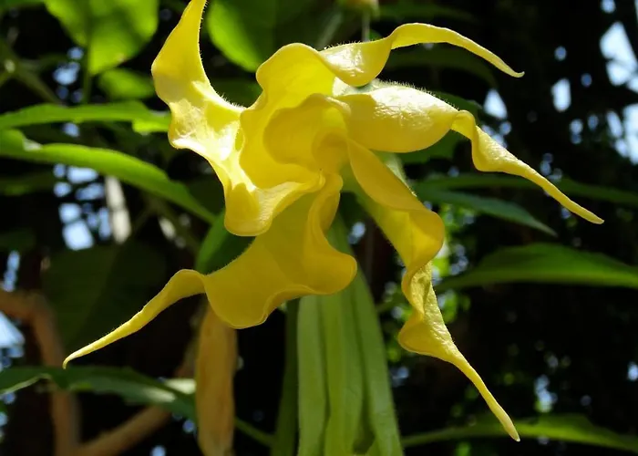 Baha-ammes Appartamento Svoronata