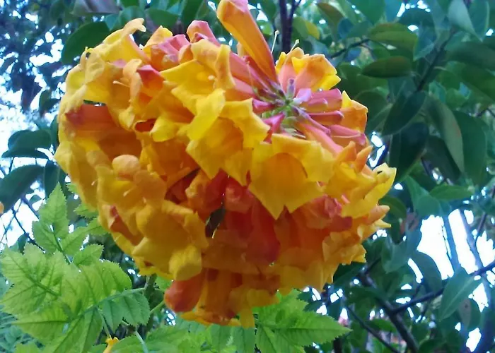 Baha-ammes Appartamento *