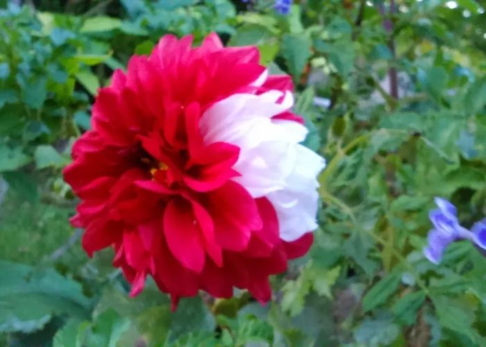 Baha-ammes Appartamento Svoronata