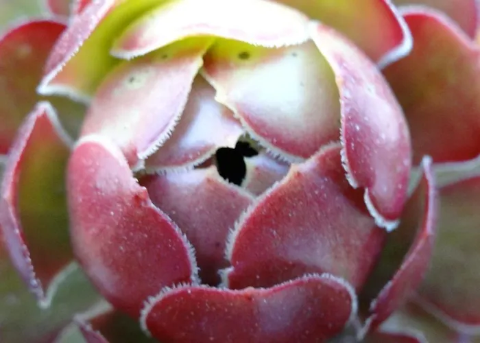 Appartamento Baha-ammes