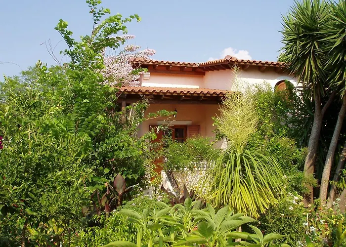 Baha-ammes * Svoronata