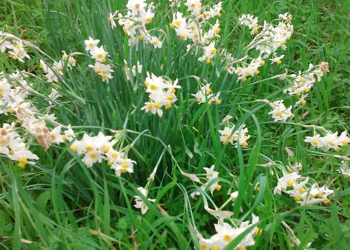 Appartamento Baha-ammes