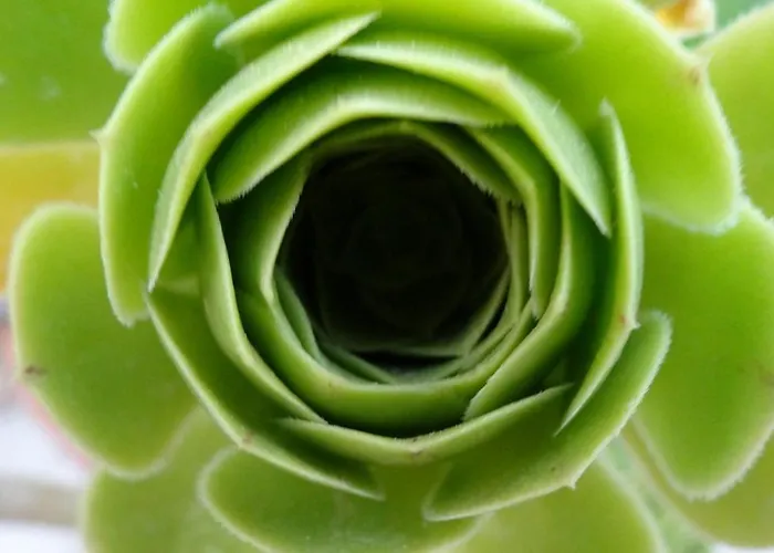 Appartamento Baha-ammes