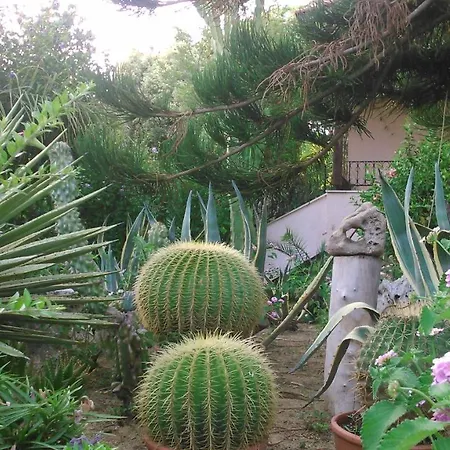 Apartment Baha-ammes Svoronata