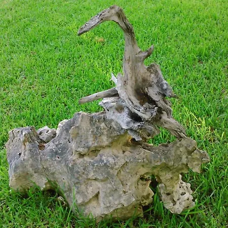 Baha-ammes Apartment