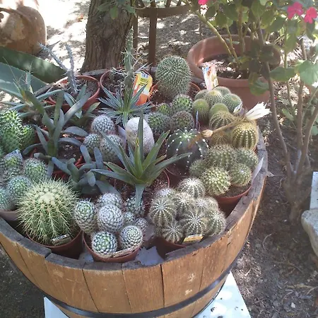 Baha-ammes Apartment