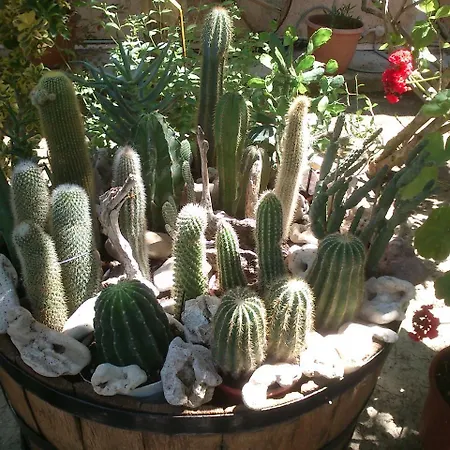 Apartment Baha-ammes *