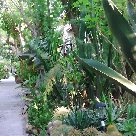 Baha-ammes Apartment Svoronata