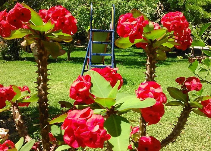 Baha-ammes Apartment